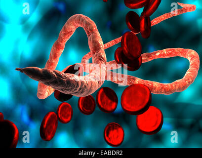 Virus Ebola, vue microscopique. Banque D'Images