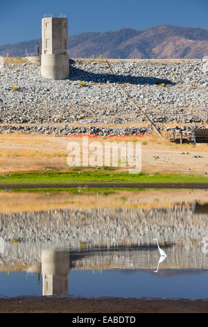 Une Grande Aigrette poissons dans ce qui reste du lac Isabella près de Bakersfield, à l'Est de la vallée centrale de la Californie qui est à moins de Banque D'Images