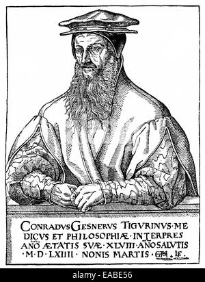 Portrait de Conrad Gesner, Konrad Gessner, Conrad Gessner, Conrad von Gesner ou annuelle Affiliation Conradus, 1516-1565, médecin suisse, n Banque D'Images