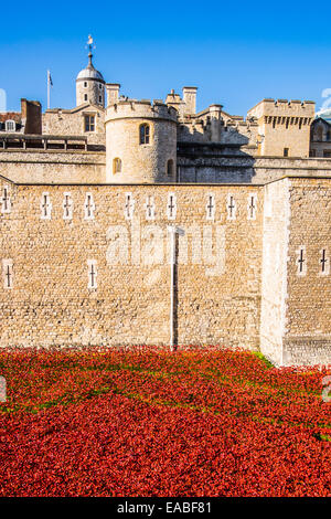 Terres & Mers de sang ont balayé de rouge à la Tour de Londres Banque D'Images