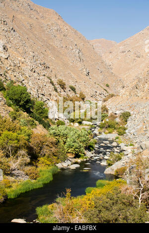 La Kern River gorge à l'Est de Bakersfield, Central Valley, Californie, USA. Banque D'Images