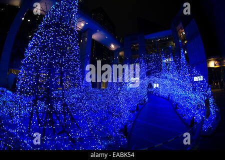 Ginza, Tokyo, Japon. 11Th Nov, 2014. Mardi 11 novembre 2014, le centre de Shiodome, Ginza, Tokyo lumières de Noël à l'essai au centre de Shiodome prêt pour les prochaines activités festives. Crédit : STEPHEN FLEMING/Alamy Live News Banque D'Images