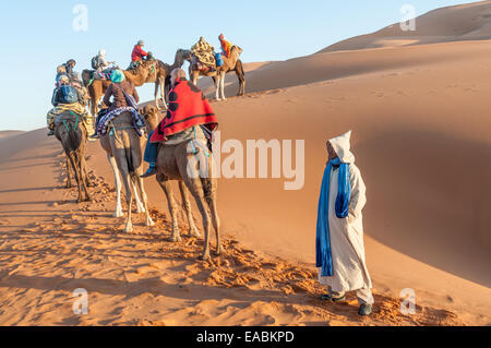 Caravane de chameaux auprès des touristes dans le désert du Sahara. Le Maroc, l'Afrique Banque D'Images