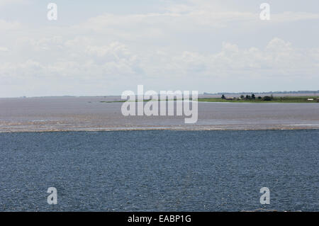 Santarem, Brésil. La rencontre des eaux de la rivière Tapajos et l'Amazone ; la Tapajos est une rivière d'eau sombre, et ses eaux longent la 'white', l'eau vaseuse de l'Amazon sur plusieurs kilomètres. Banque D'Images