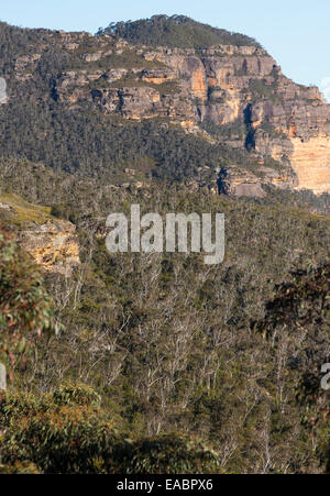 Vue sur le bush et ses falaises de grès robuste en parc national de Blue Mountains, NSW, Australie Banque D'Images