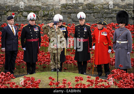 Londres, Royaume-Uni. 11 novembre, 2014. Le jour de l'Armistice à la Tour de Londres, le dernier coquelicot céramique de la 888 246 comprenant le 'Paul' art installation Cummins 'Blood a balayé les terres et de la Mer Rouge est planté par un jeune cadet. Chaque coquelicot représente un militaire coloniale britannique ou du décès pendant la Première Guerre mondiale. Crédit : Stephen Chung/Alamy Live News Banque D'Images