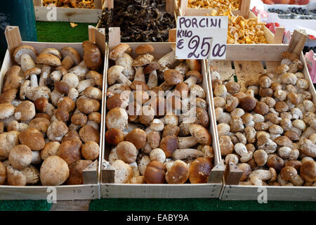 Cèpes en vente sur le marché aux légumes du Rialto à Venise, Italie. Banque D'Images