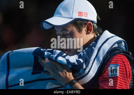 O2 Arena, London, UK. 11 novembre, 2014. Barclays ATP match du tournoi à la ronde, des célibataires, Roger Federer (SUI) bat Kei NISHOKORI (JPN). Credit : Malcolm Park editorial/Alamy Live News Banque D'Images