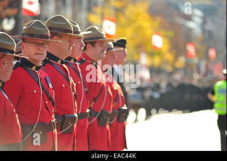 London, Ontario, Canada. 11 novembre, 2014. Des membres des forces armées canadiennes et les membres du public se retrouvent au Cénotaphe à London (Ontario) d'observer le Jour du Souvenir. Sur cette fonction à l'échelle nationale de communautés sont des cérémonies pour rendre hommage aux soldats tombés. Credit : Jonny White/Alamy Live News Banque D'Images