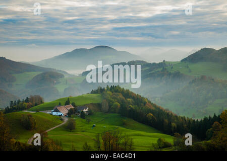 Matin en montagnes du Jura près de läufelfingen, canton de Bâle-Campagne, Suisse. Banque D'Images