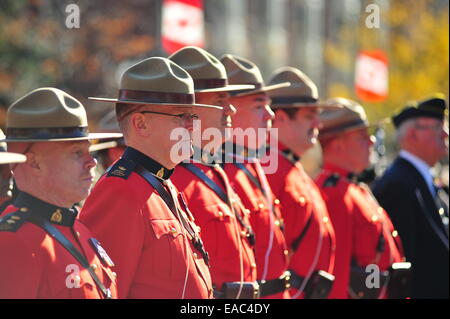 London, Ontario, Canada. 11 novembre, 2014. Des membres des forces armées canadiennes et les membres du public se retrouvent au Cénotaphe à London (Ontario) d'observer le Jour du Souvenir. Sur cette fonction à l'échelle nationale de communautés sont des cérémonies pour rendre hommage aux soldats tombés. Credit : Jonny White/Alamy Live News Banque D'Images