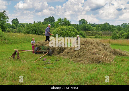 Le séchage du foin, du transport et de foin pour les vaches et les chevaux dans le village. Banque D'Images