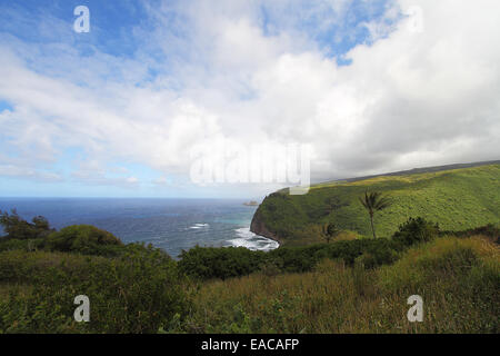 Une belle vue de la Vallée de Pololu Lookout sur la rive nord de la grande île d'Hawaï Banque D'Images