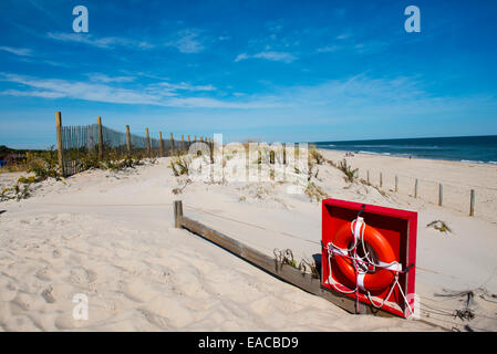 La plage de Assateague State Park, Ocean City Maryland USA Banque D'Images