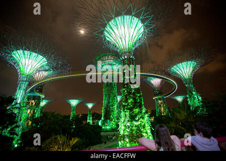 Les enfants regardant immense supertrees allumé contre ciel nocturne en spectacle dans les jardins de Singapour par La Baie Banque D'Images