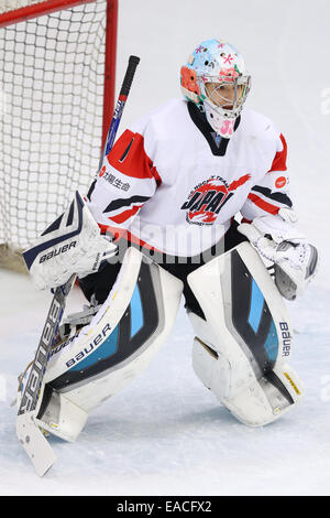 Yokohama, Japon. 11Th Nov, 2014. Nana Fujimoto (JPN) : Hockey sur Glace Hockey sur glace IIHF 2015 Womens Qualification Championnat du monde de match de la série entre le Japon 2-1 République tchèque à Shin-Yokohama Skate Center à Yokohama, au Japon . Credit : Ito Shingo/AFLO SPORT/Alamy Live News Banque D'Images