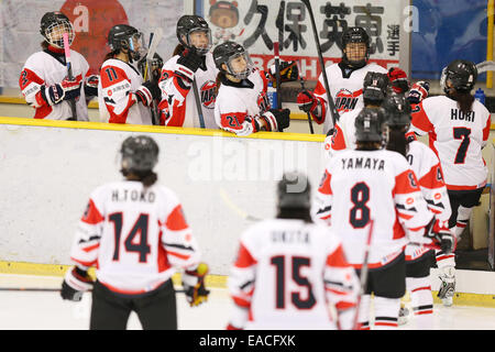 Yokohama, Japon. 11Th Nov, 2014. Groupe de l'équipe du Japon de Hockey sur glace de hockey 2015 : Championnat du monde Femmes Série Qualification match entre le Japon 2-1 République tchèque à Shin-Yokohama Skate Center à Yokohama, au Japon . Credit : Ito Shingo/AFLO SPORT/Alamy Live News Banque D'Images