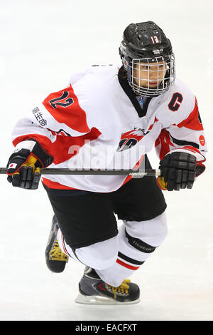 Yokohama, Japon. 11Th Nov, 2014. Chiho Osawa (JPN) : Hockey sur Glace Hockey sur glace IIHF 2015 Womens Qualification Championnat du monde de match de la série entre le Japon 2-1 République tchèque à Shin-Yokohama Skate Center à Yokohama, au Japon . Credit : Ito Shingo/AFLO SPORT/Alamy Live News Banque D'Images