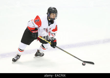 Yokohama, Japon. 11Th Nov, 2014. Shiori Koike (JPN) : Hockey sur Glace Hockey sur glace IIHF 2015 Womens Qualification Championnat du monde de match de la série entre le Japon 2-1 République tchèque à Shin-Yokohama Skate Center à Yokohama, au Japon . Credit : Ito Shingo/AFLO SPORT/Alamy Live News Banque D'Images