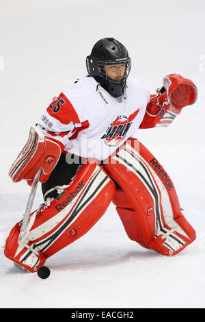 Yokohama, Japon. 11Th Nov, 2014. Ayu Tonosaki (JPN) : Hockey sur Glace Hockey sur glace IIHF 2015 Womens Qualification Championnat du monde de match de la série entre le Japon 2-1 République tchèque à Shin-Yokohama Skate Center à Yokohama, au Japon . Credit : Ito Shingo/AFLO SPORT/Alamy Live News Banque D'Images