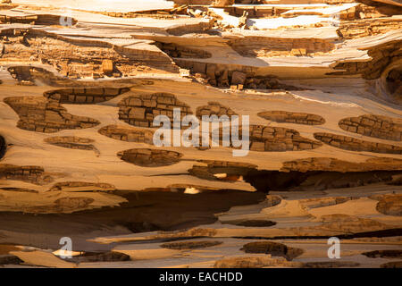 Trous faits par d'Acorn Woodpecker dans une souche d'arbre dans le Yosemite, California, USA. Banque D'Images