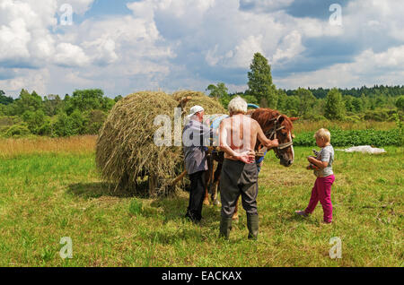 Le séchage du foin, du transport et de foin pour les vaches et les chevaux dans le village. Banque D'Images