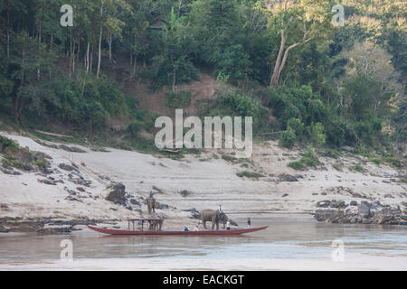 Rive du fleuve et des bateaux et l'éléphant d'être baigné sur deux jours de croisière sur un bateau lent le long de la rivière du Mékong Laos,Asie,, Banque D'Images
