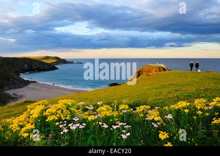 Prairie près de la vue surplombant la plage de la baie de Sango, Durness, Caithness, Sutherland et Easter Ross, Ecosse Banque D'Images