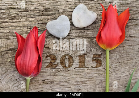 Deux tulipes rouges placés sur planche de bois avec deux coeurs stone- nouvelle année 2015 Banque D'Images