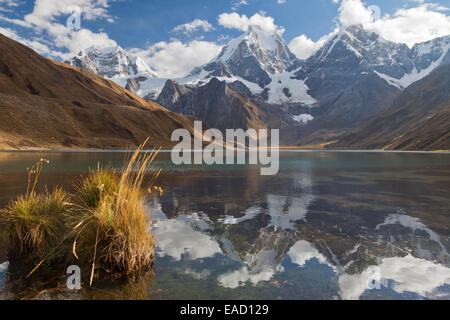 Laguna Carhuacocha, Cordillera Huayhuash, Pérou Banque D'Images