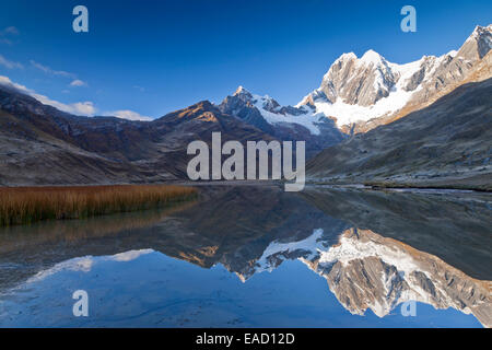 Reflet de la montagne dans la région de Laguna Mitucocha, Cordillera Huayhuash, Pérou Banque D'Images