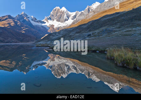 Reflet de la montagne dans la région de Laguna Mitucocha, Cordillera Huayhuash, Pérou Banque D'Images