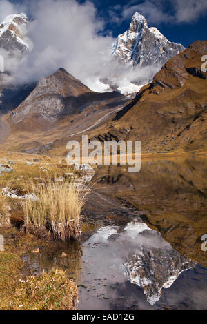 Reflet de Mt Nevado Jirishanca dans Laguna Carhuacocha, Cordillera Huayhuash, Pérou Banque D'Images