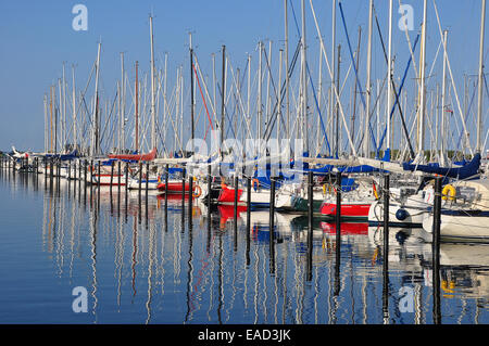 Voiliers dans une marina, Heiligenhafen, Schleswig-Holstein, Allemagne Banque D'Images