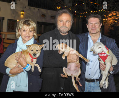 Henndorf près de Salzbourg, Autriche. 11 novembre, 2014. L'actrice allemande Uschi Glas, l'acteur italien Franco Nero, tous deux titulaires d'un chien le 11 novembre 2014 à l'ouverture du marché de Noël à Aiderbichl Estate à Henndorf près de Salzbourg, Autriche. À droite, l'acteur Francis Fulton Smith tenant un agneau. Dpa : Crédit photo alliance/Alamy Live News Banque D'Images