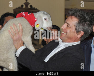 Henndorf près de Salzbourg, Autriche. 11 novembre, 2014. L'acteur britannique Hugh Grant est titulaire d'un agneau sur Novembre 11, 2014 à l'ouverture du marché de Noël à Aiderbichl Estate à Henndorf près de Salzbourg, Autriche. Dpa : Crédit photo alliance/Alamy Live News Banque D'Images