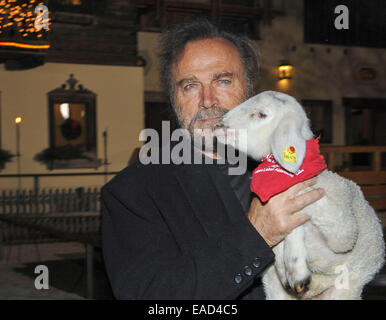 Henndorf près de Salzbourg, Autriche. 11 novembre, 2014. L'acteur italien Franco Nero est titulaire d'un agneau sur Novembre 11, 2014 à l'ouverture du marché de Noël à Aiderbichl Estate à Henndorf près de Salzbourg, Autriche. Dpa : Crédit photo alliance/Alamy Live News Banque D'Images