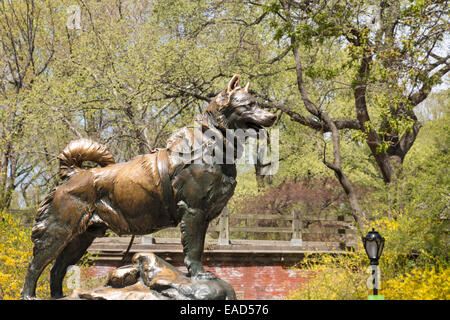 Statue de chiens de traîneau, Balto, dans Central Park, NYC Banque D'Images