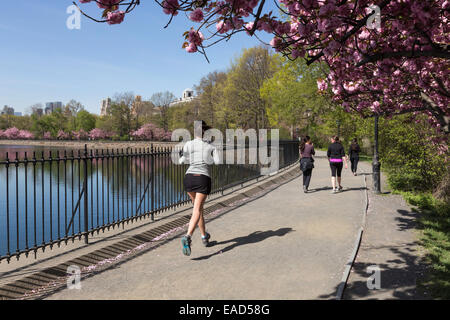 Le réservoir de jogging avec des coureurs Vue arrière, Central Park, NYC, USA Banque D'Images