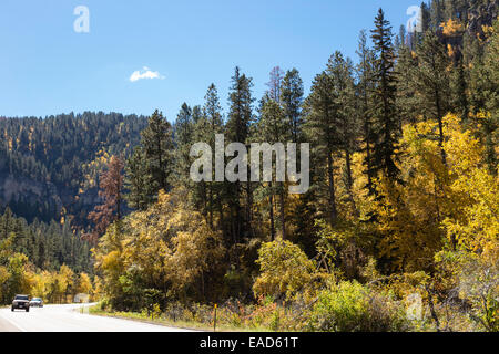 Spearfish Canyon, Black Hills National Forest, SD, USA Banque D'Images