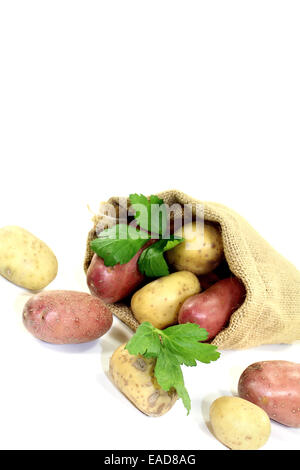 Pommes de terre jaune et rouge dans le sac sur fond lumineux Banque D'Images