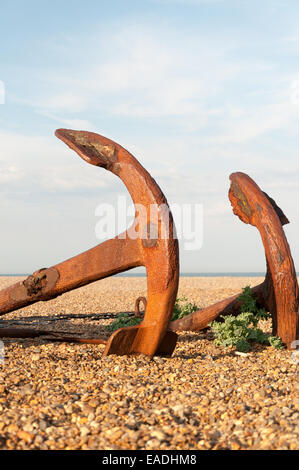 Ancres sur la plage Banque D'Images