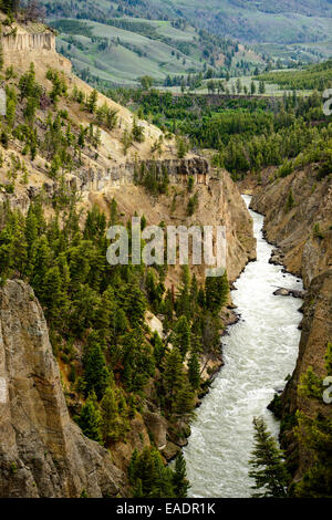 Le passage de la rivière Yellowstone de calcite Springs oublier dans le Parc National de Yellowstone. Banque D'Images