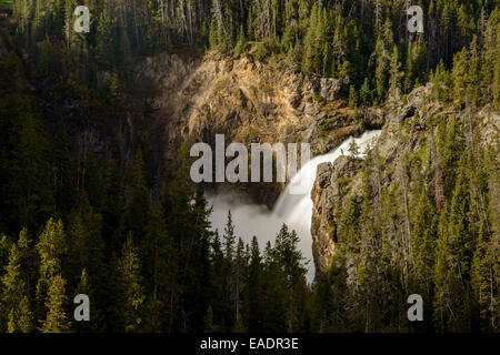 La région de Yellowstone Falls de la Yellowstone River dans le Parc National de Yellowstone, vue de la rive Nord au cours ressort lourd f Banque D'Images