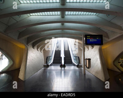 La gare de Liège-Guillemins par l'architecte Santiago Calatrava, Liège, Belgique, Europe Banque D'Images