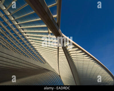 La gare de Liège-Guillemins par l'architecte Santiago Calatrava, Liège, Belgique, Europe Banque D'Images