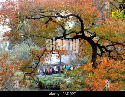 Suzhou, Province de Jiangsu en Chine. 12Th Nov, 2014. Les touristes profitez de l'automne vue lors de l'Humble Administrator's Garden à Suzhou, Province de Jiangsu en Chine de l'Est, le 12 novembre, 2014. © Accrocher South/Xinhua/Alamy Live News Banque D'Images