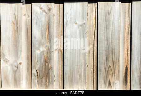Clôture en bois pin traité palings Banque D'Images