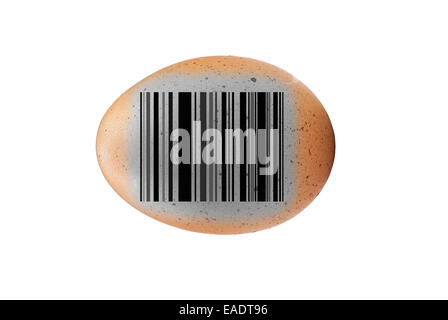 Le noir et blanc ,Brown egg sur fond blanc Banque D'Images