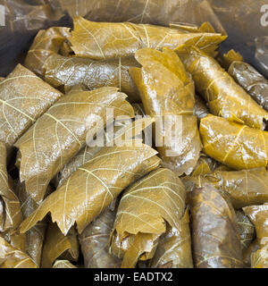 Repas du Caucase - dolma de feuilles de vigne en saumure et émincer close up Banque D'Images